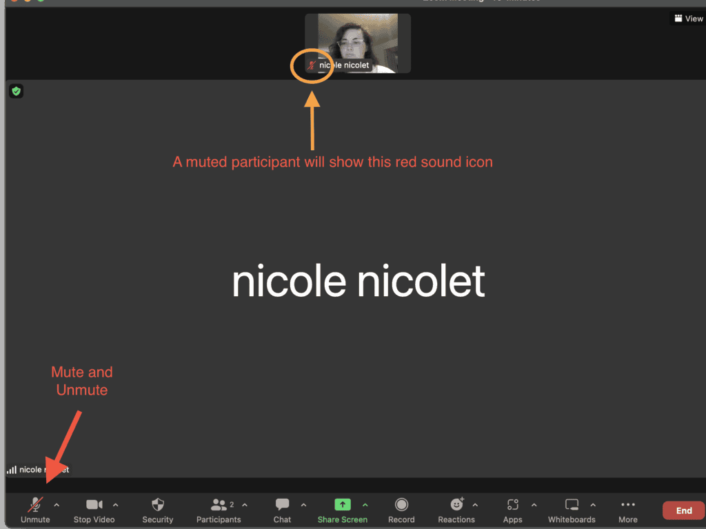 screenshot of zoom meeting with arrows pointing to mute button and microphone icon