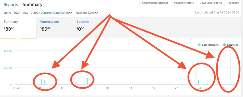screenshot of sales from amazon affiliate