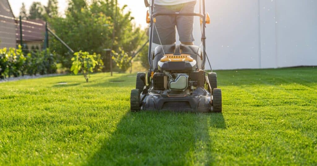how to start a lawn mowing business